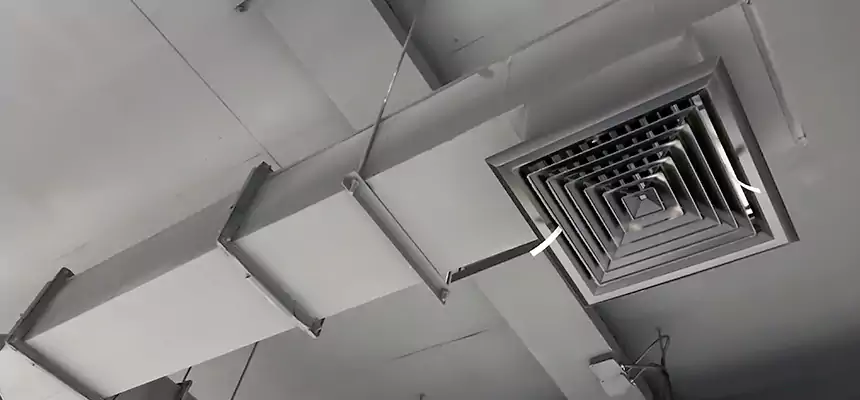 Our Rodent Droppings In Vents Services in Lakewood, CA