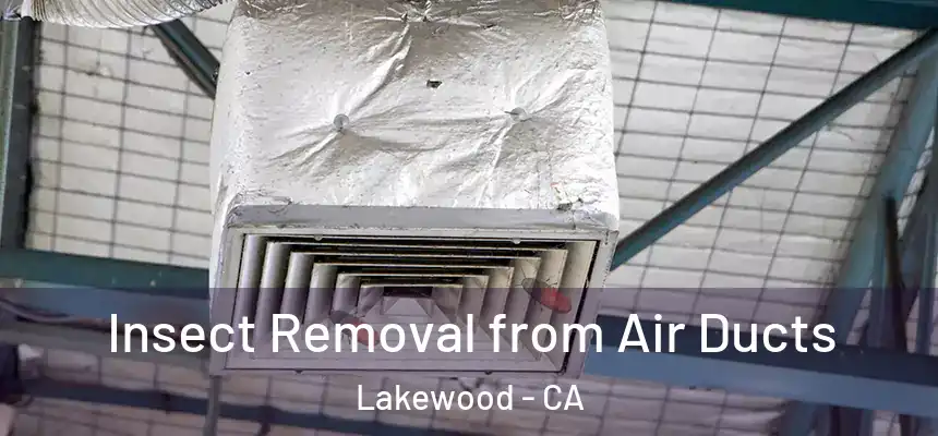 Insect Removal from Air Ducts Lakewood - CA