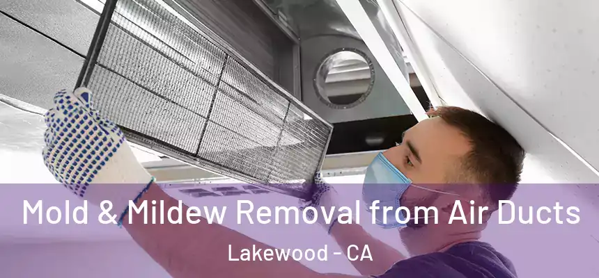 Mold & Mildew Removal from Air Ducts Lakewood - CA