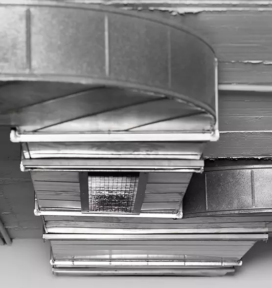 Professional Air Duct Pest Removal in Lakewood, CA