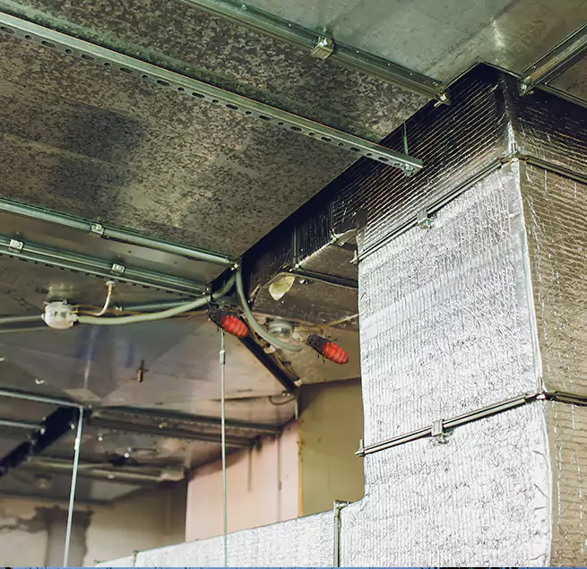 Why Homeowners & Businesses Trust Us in Lakewood, CA?