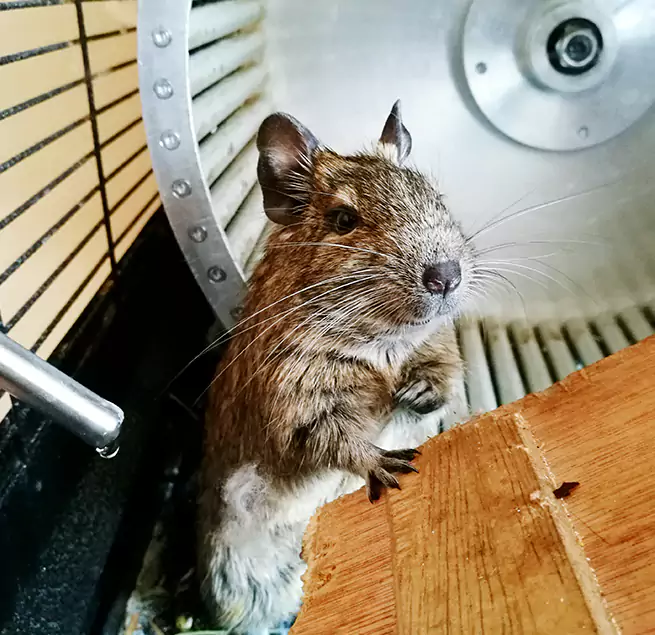 Why Homeowners & Businesses Trust Us Lakewood, CA